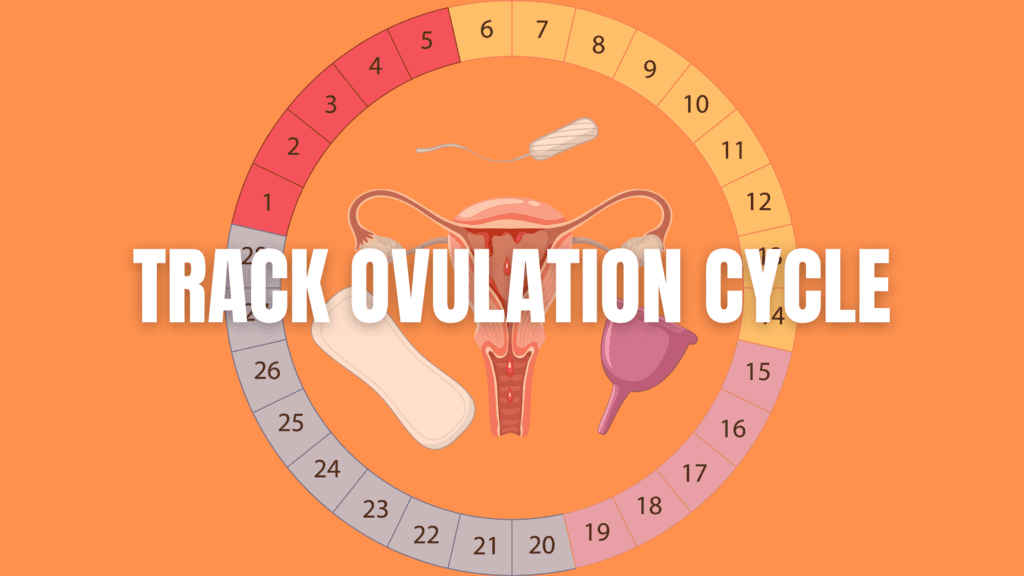 track ovulation cycle